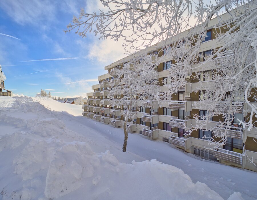 wellness hotel feldberg